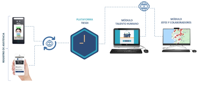 Diagrama mostrando el funcionamiento de la plataforma, desde el ingreso de la información hasta el acceso a la misma En el módulo de jefes y colaboradores